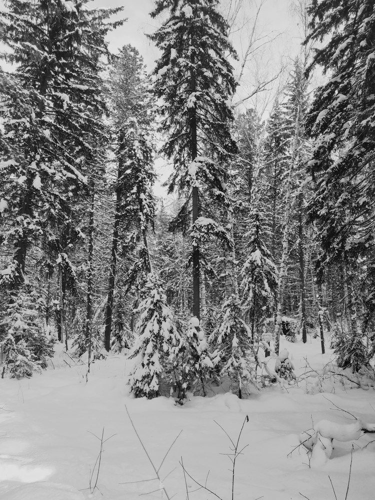 Photograph by Екатерина Евгеньевна