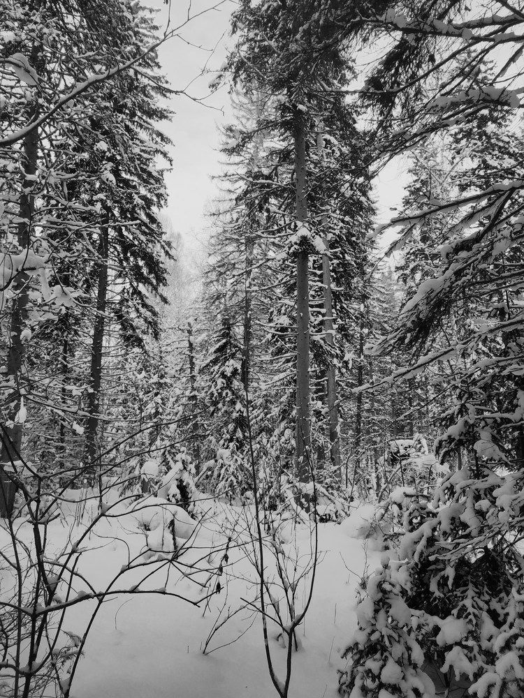 Photograph by Екатерина Евгеньевна