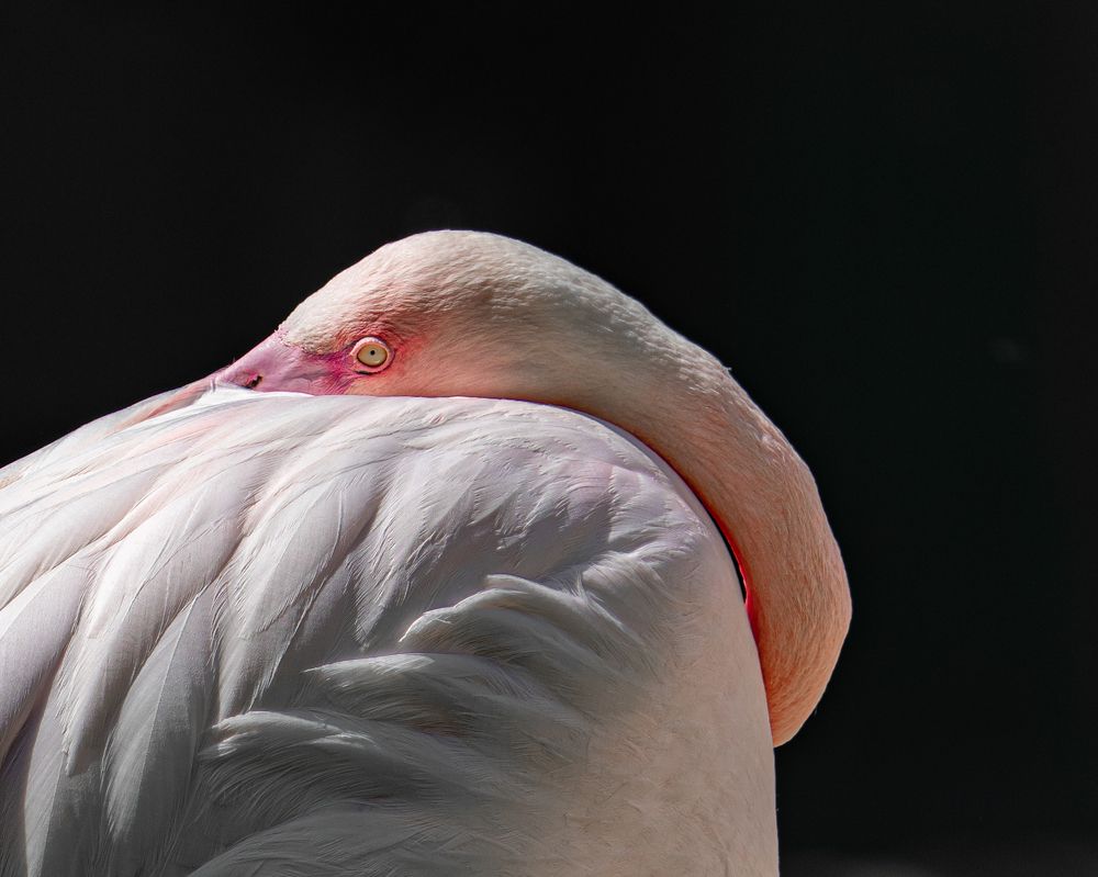 Фотография автора Mohammad Alhadhoud