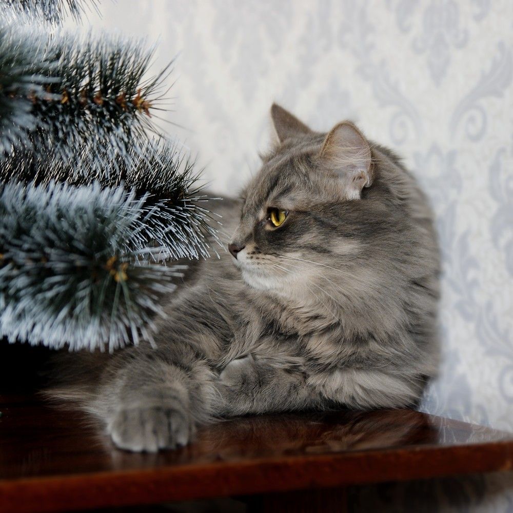 Photograph by Елена Кондратьева