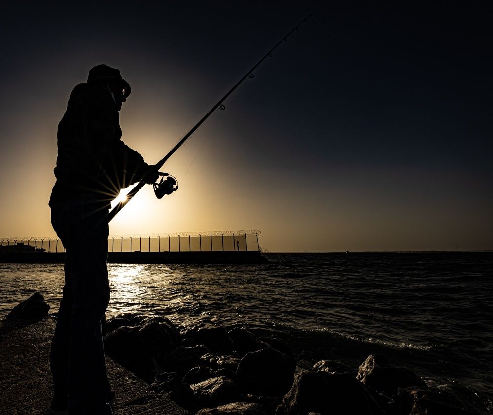 Фотография автора Mohammad Alhadhoud