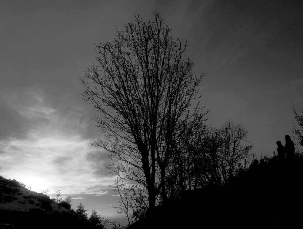 Photograph by علاء الاسدي