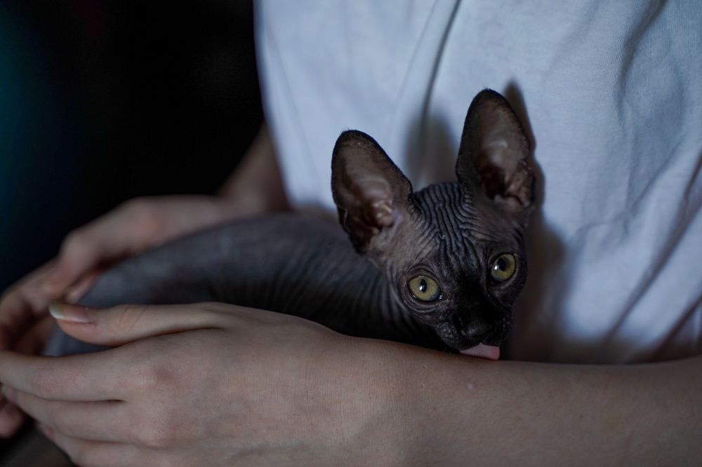 Photograph by Мария Федотова