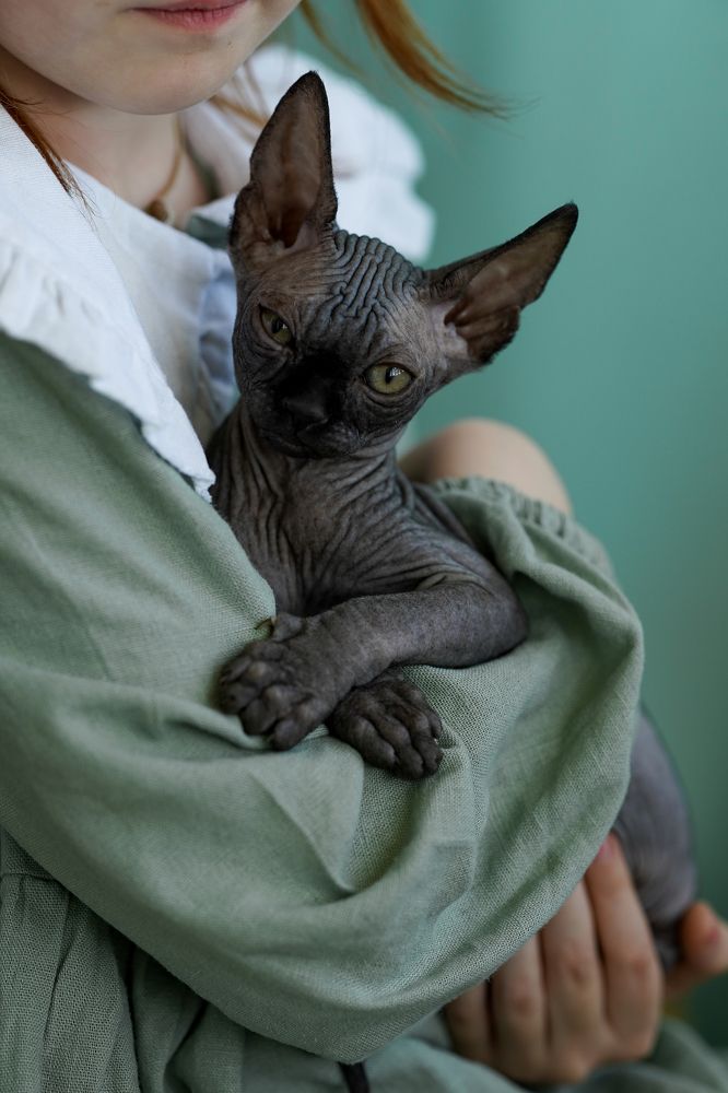 Photograph by Мария Федотова