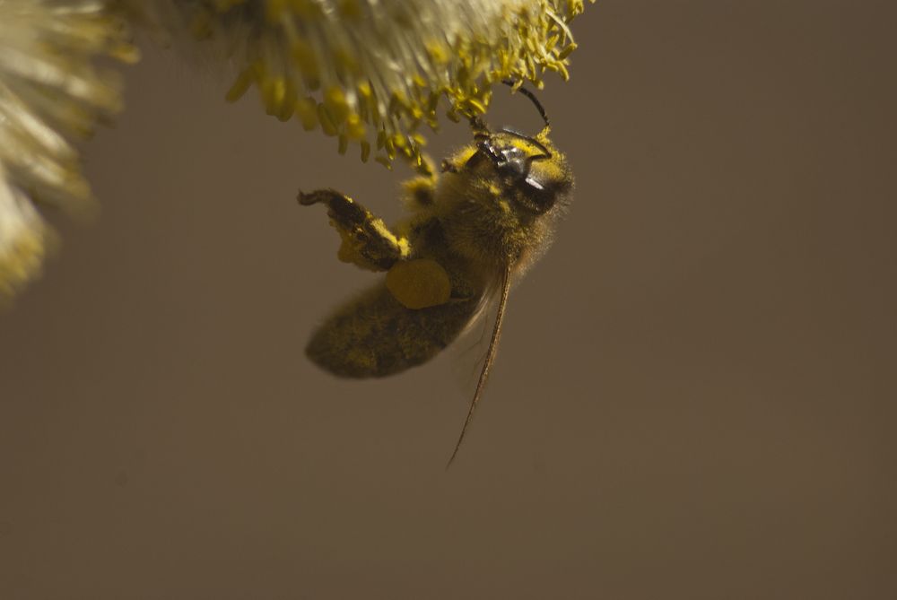 Photograph by Николай Носков
