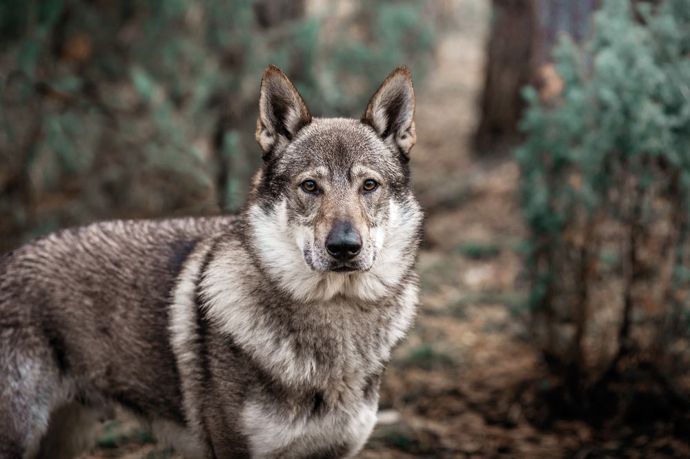 Photograph by Ященко Анастасия