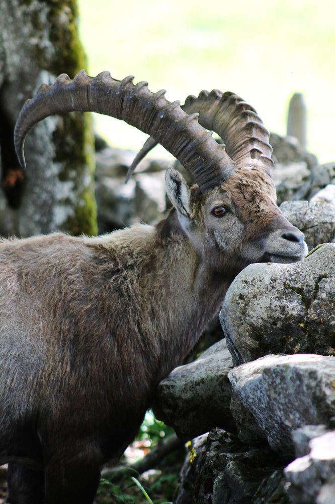 Photograph by Диана Ульянцева