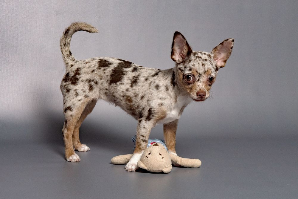 Photograph by Демьян Лопатов