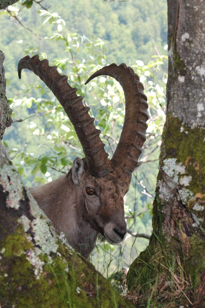 Photograph by Диана Ульянцева