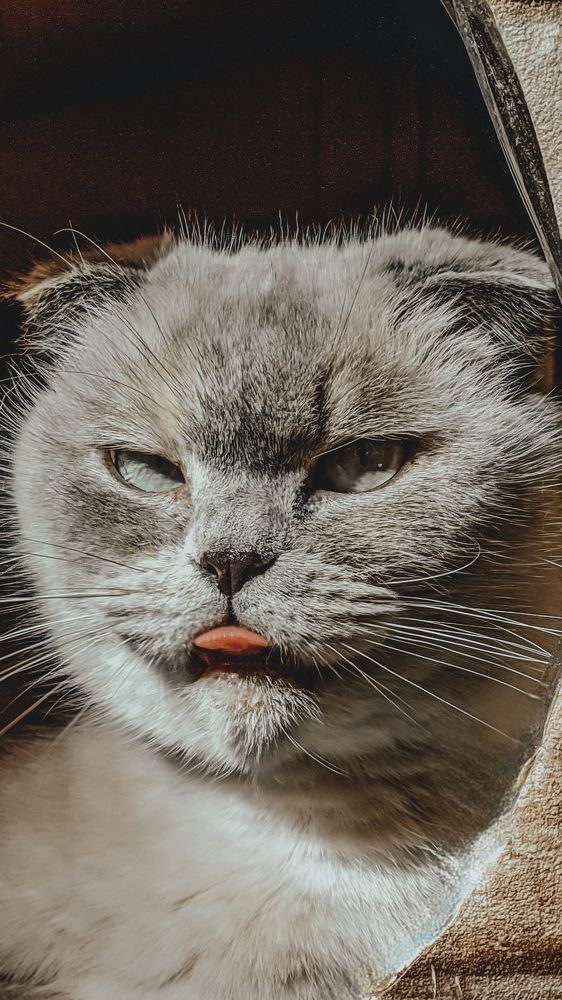 Photograph by Денис Бочаров