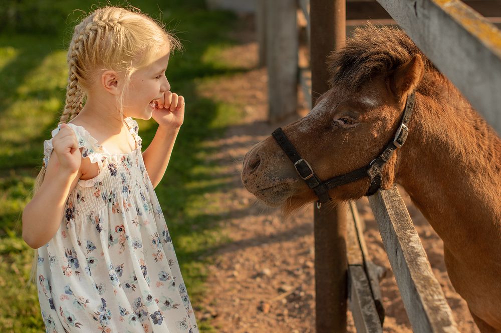 Фотография автора Светлана Дроголюбова