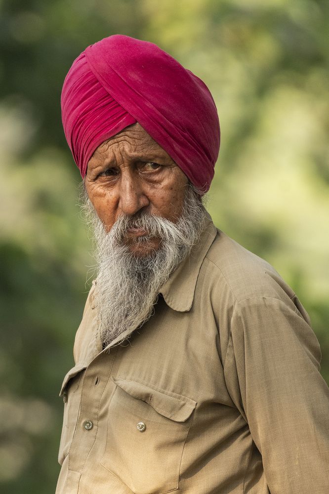 Photograph by Shahul valasy