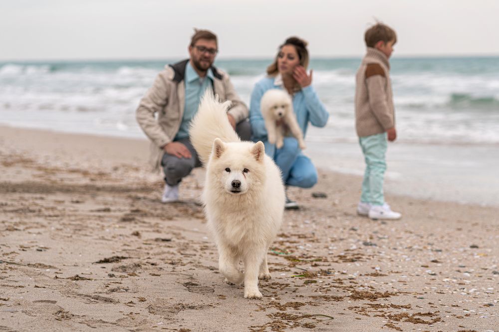 Photograph by Роман Надточий