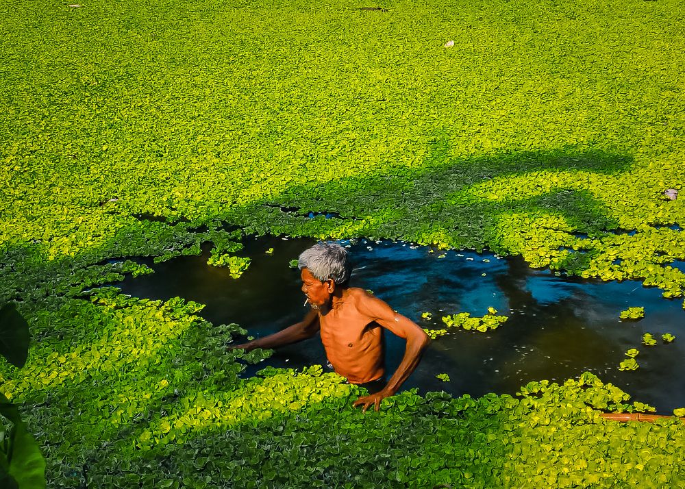 Photograph by Trishik Bose