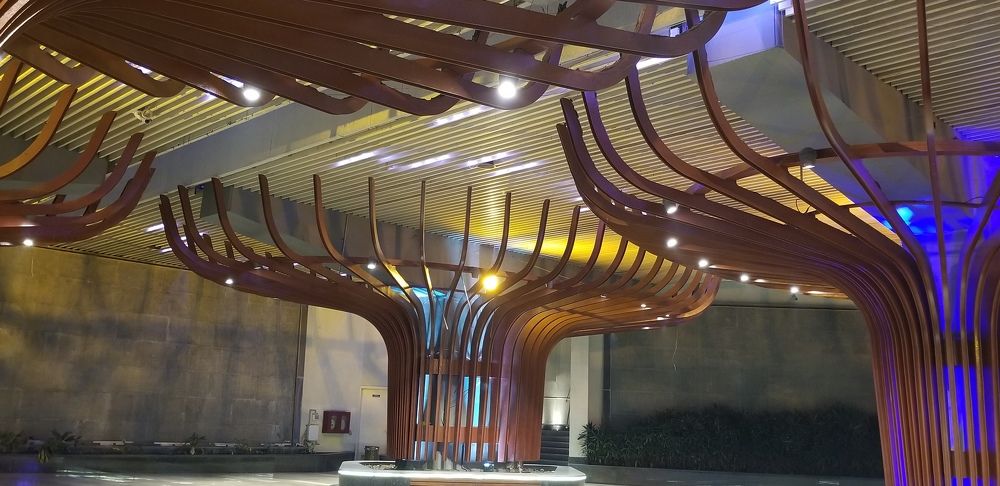 Photograph by Balaji Murapaka