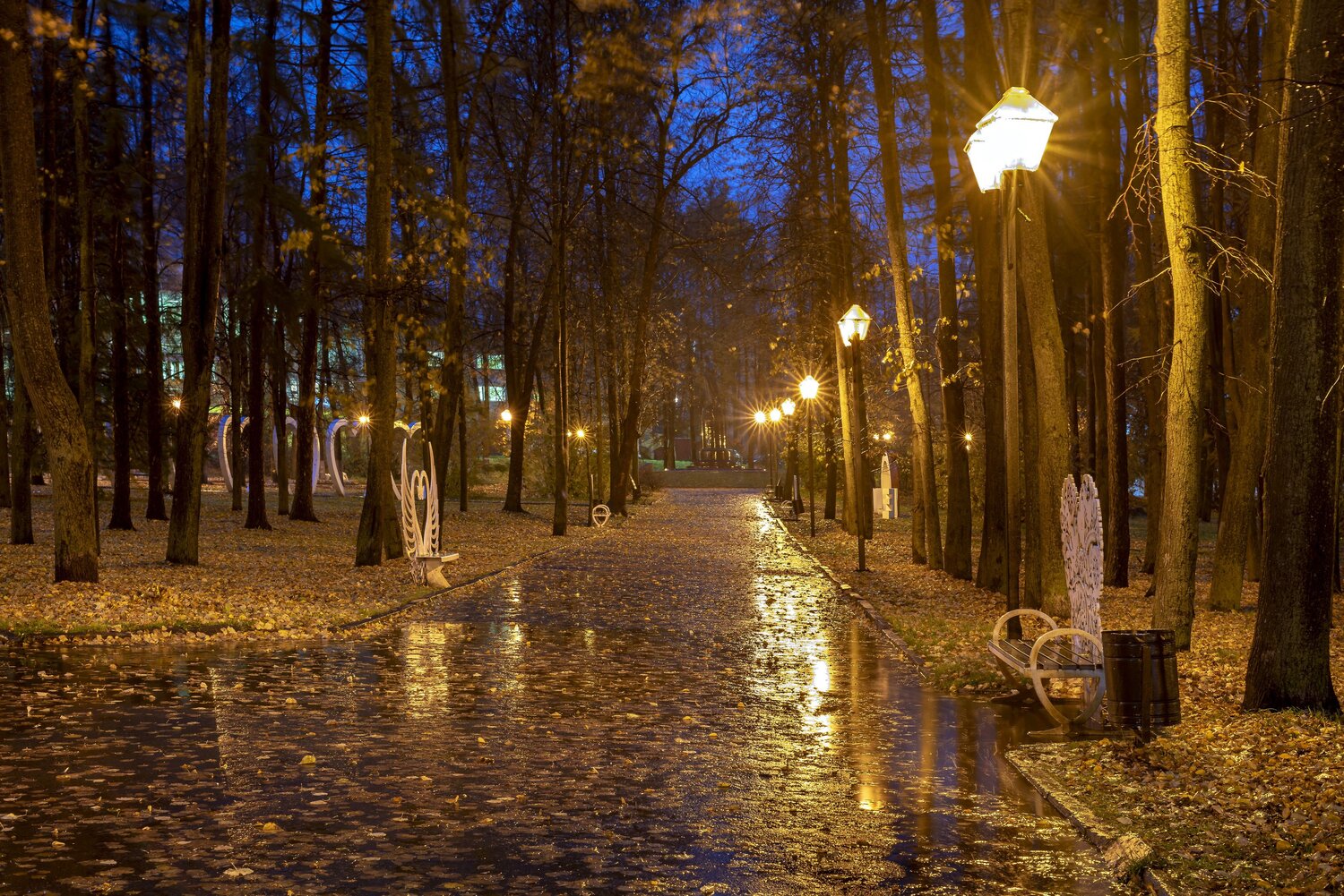 Photo #7689796