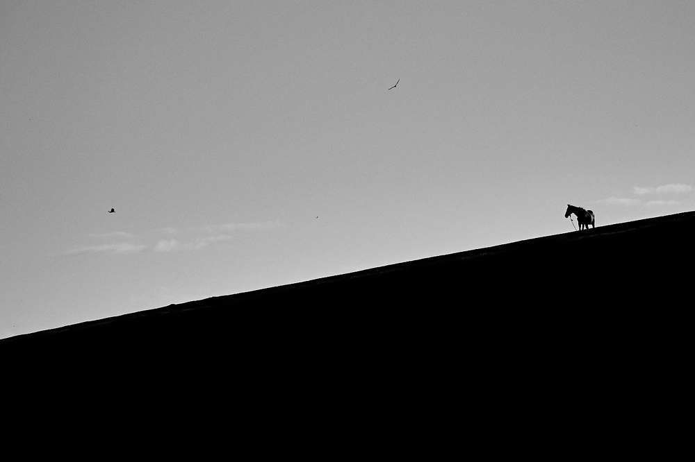 Photograph by Carlos Manuel Peguero Gomez