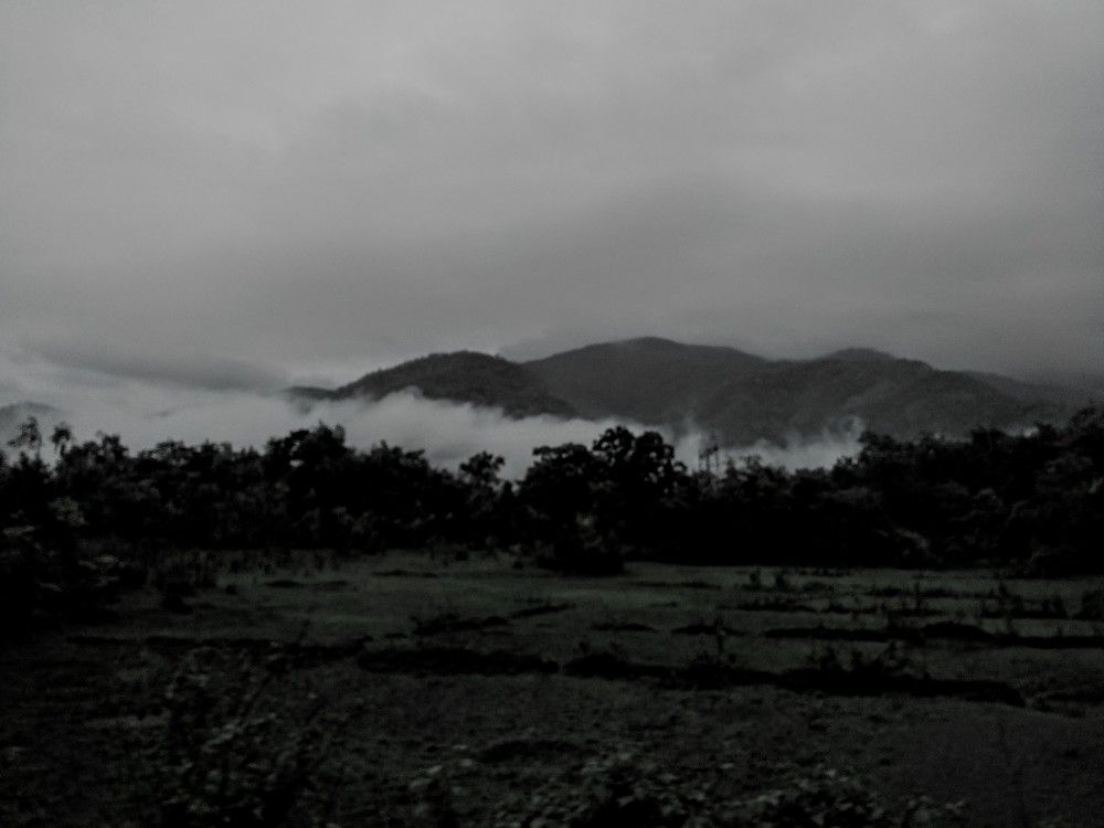 Photograph by Sai Pixels