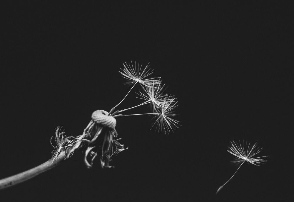 Photograph by Евгений Белов