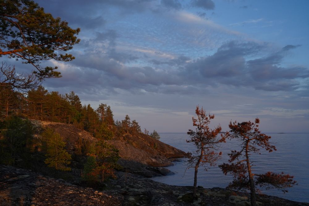 Фотография автора Юлия Овчинникова