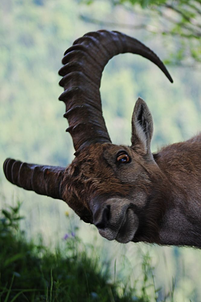 Photograph by Диана Ульянцева