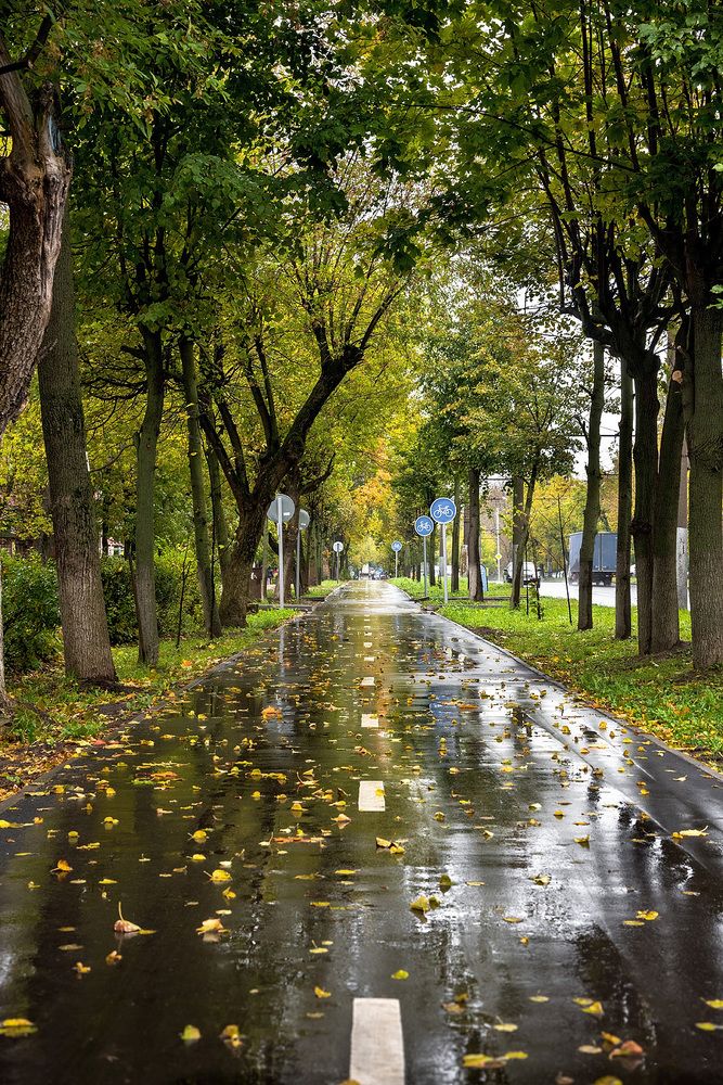 Photograph by Белевитин Михаил