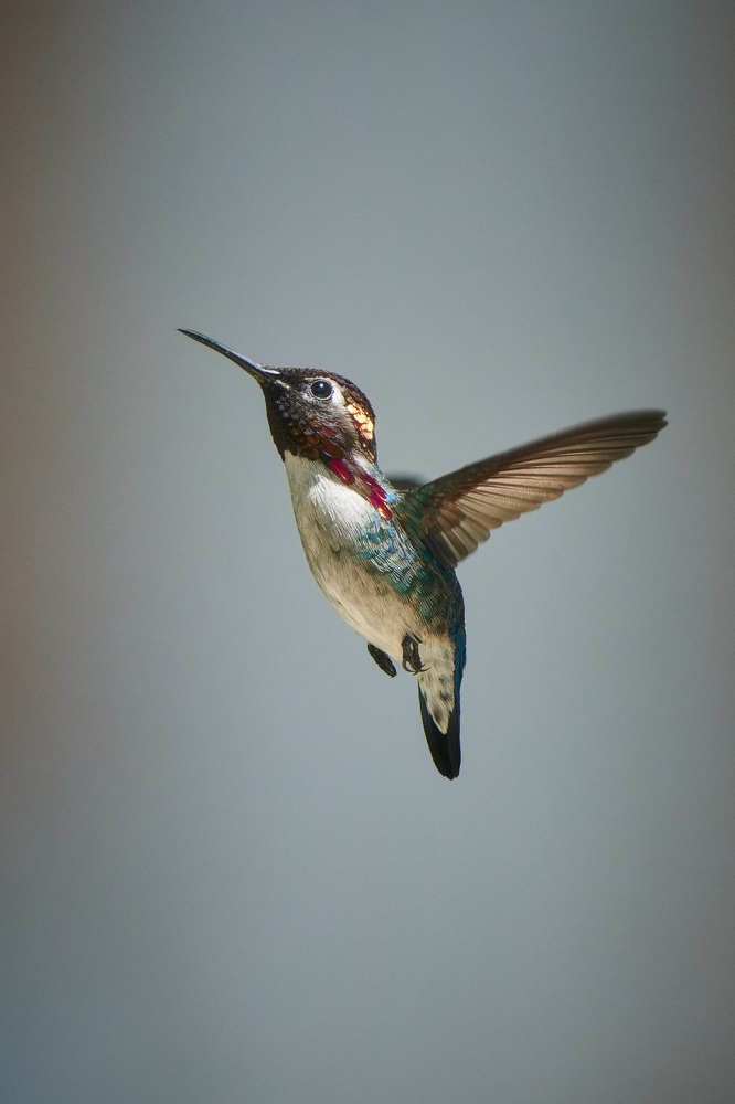 Photograph by Carlos Manuel Peguero Gomez