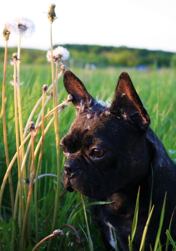 Фотография автора Татьяна Шебаршенко