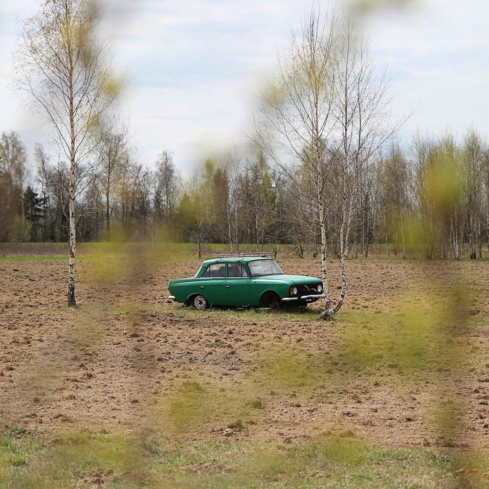 Photograph by Елена Кондратьева