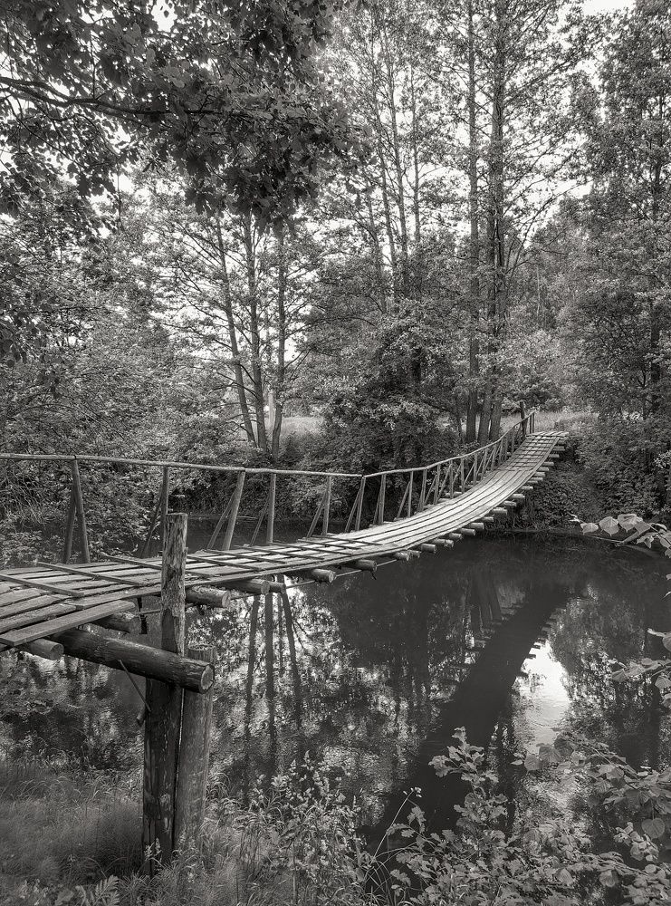 Photograph by Владимир Шаруба