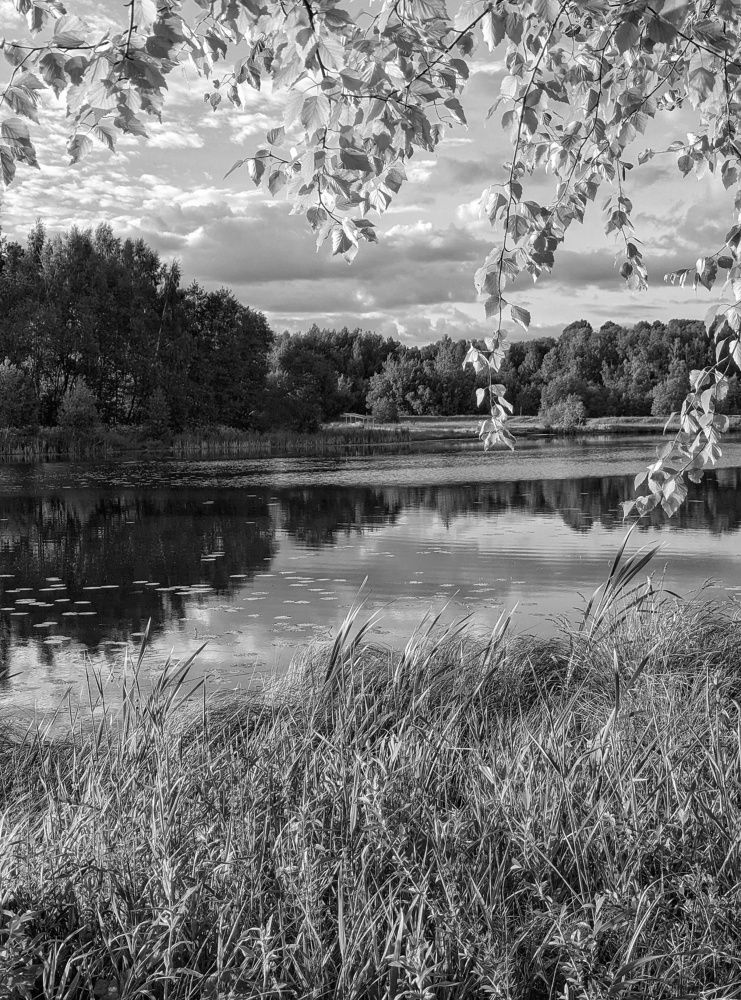 В лучах заходящего солнца.