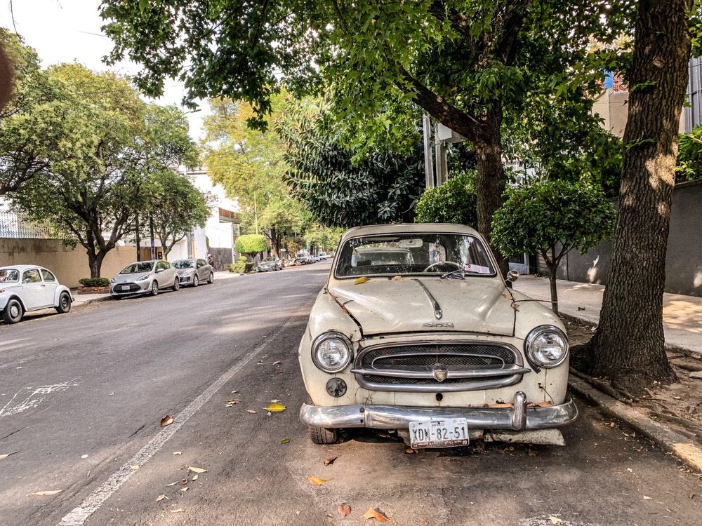 Photograph by Juan Carlos Molina Montes de Oca