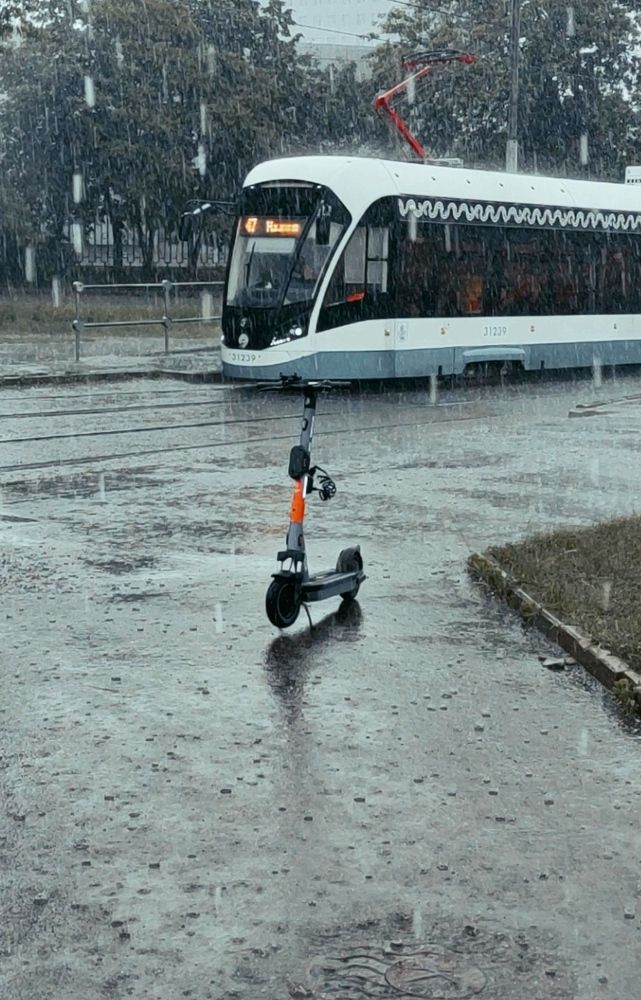 Photograph by Дмитрий Трепольский