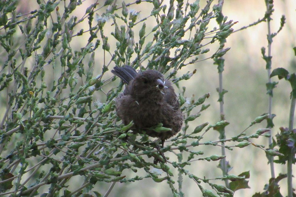 Photograph by Juan Carlos Molina Montes de Oca