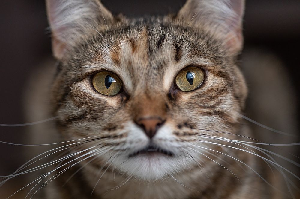 Photograph by Андрей Глуховцев