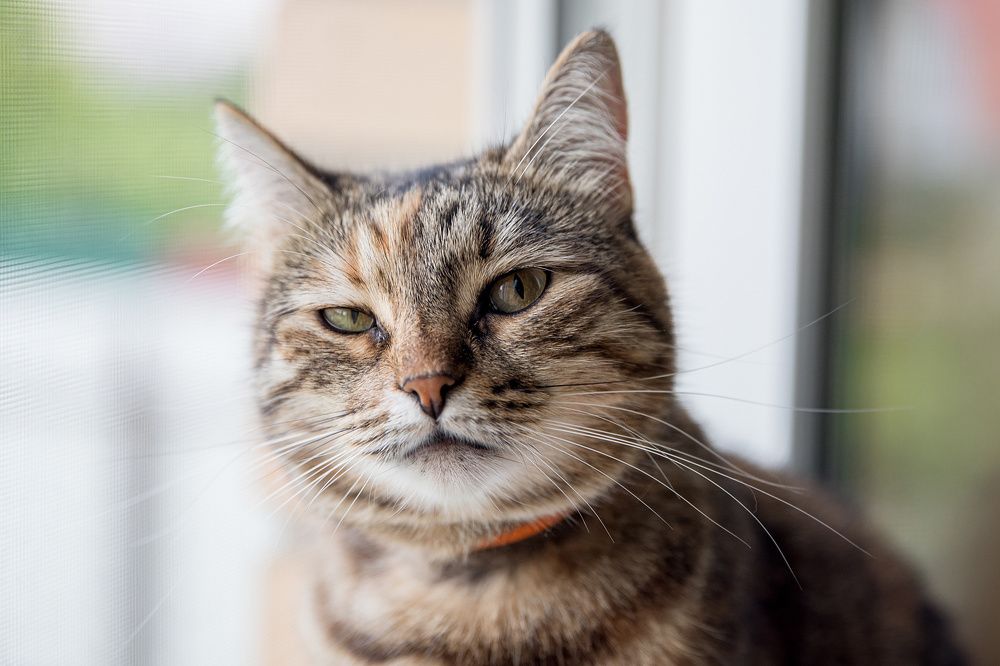 Photograph by Андрей Глуховцев