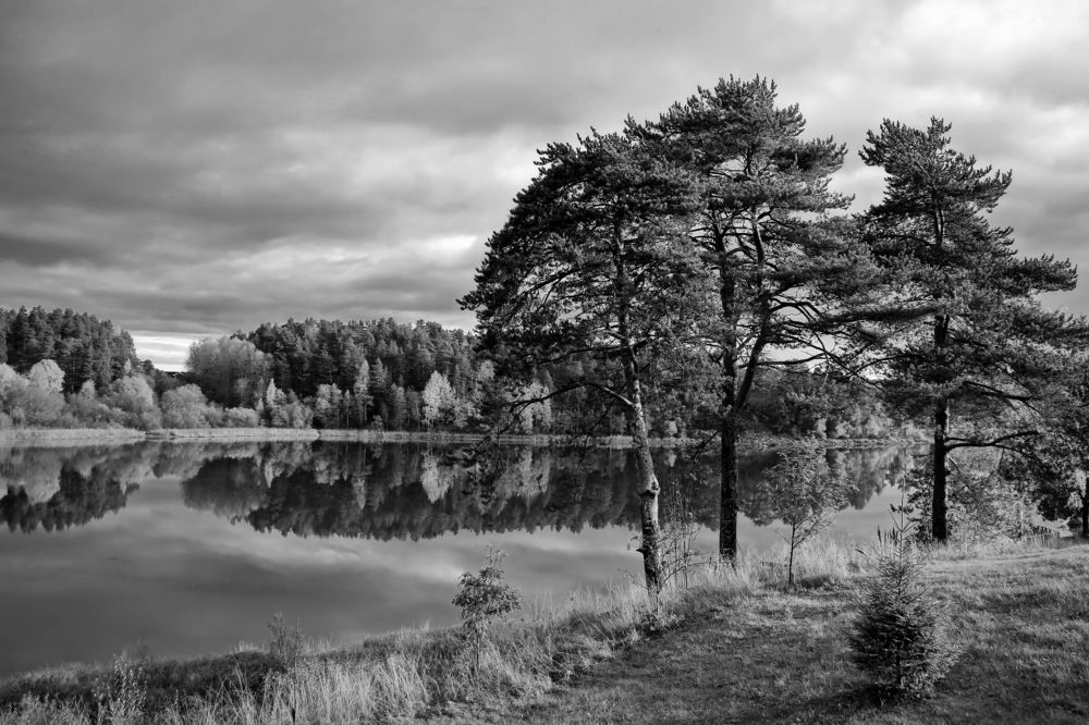 Photograph by Станислав Староверов