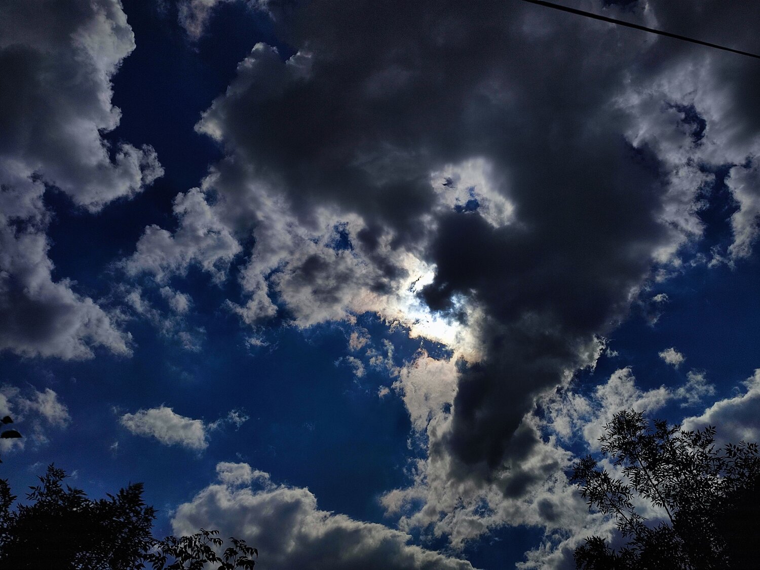 Photo #7690082