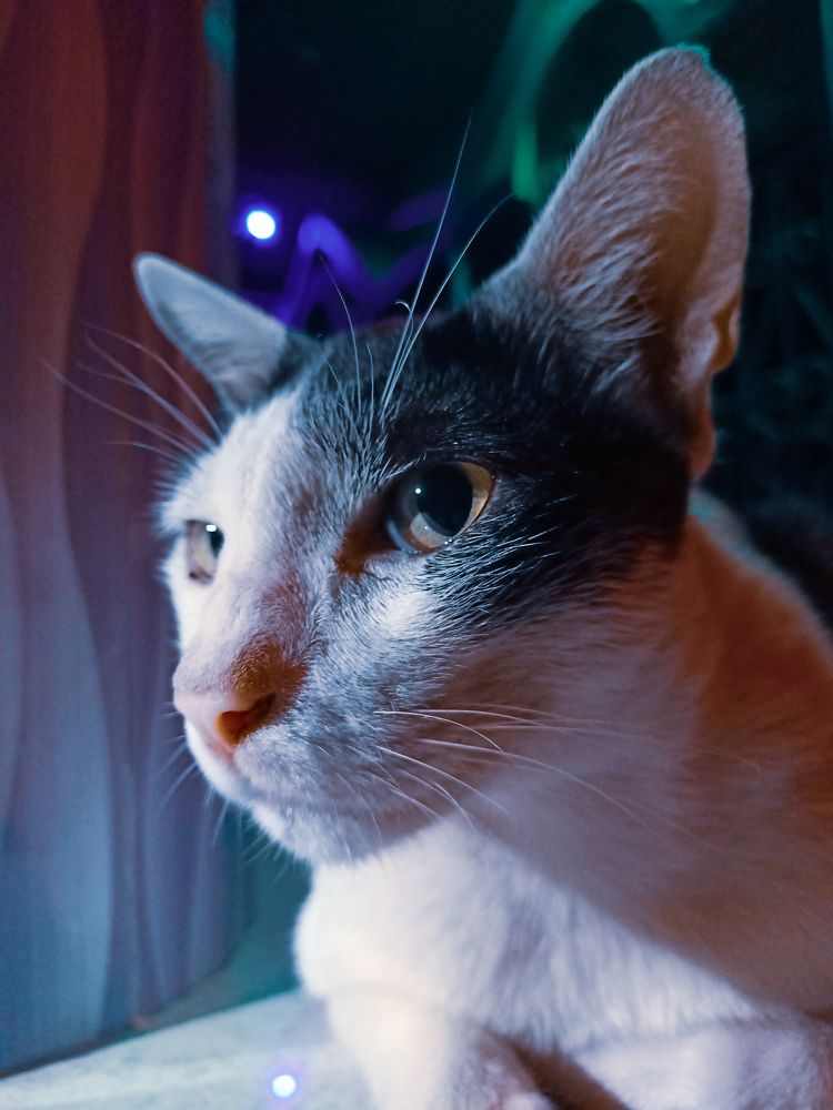 Photograph by Souvik Bhowmik