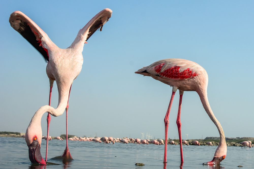 Photograph by Siddharth Rathod