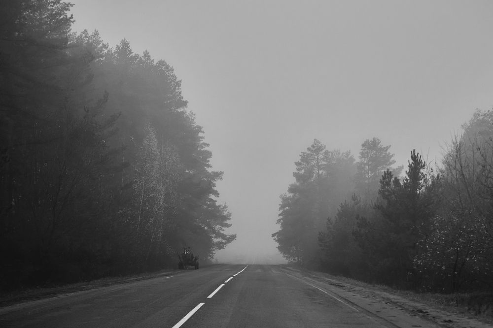 Photograph by Валерий Зенович