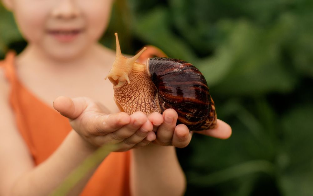 Photograph by Светлана Муртазина