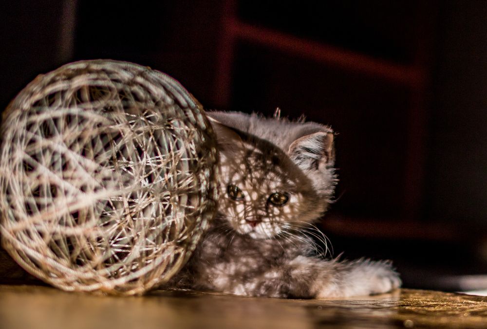 Photograph by Дмитрий Власов