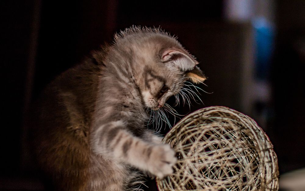 Photograph by Дмитрий Власов