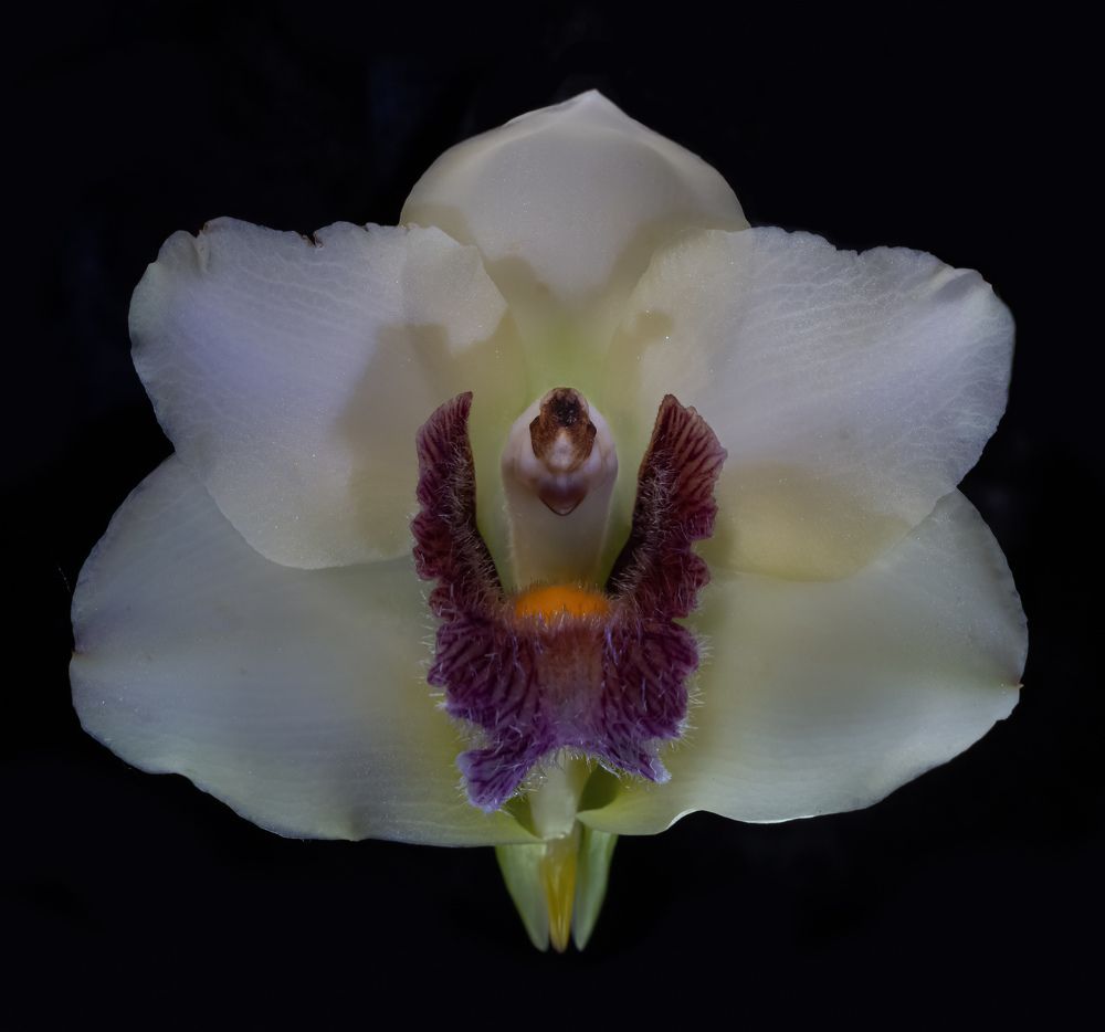 Фотография автора Черновол Валентин