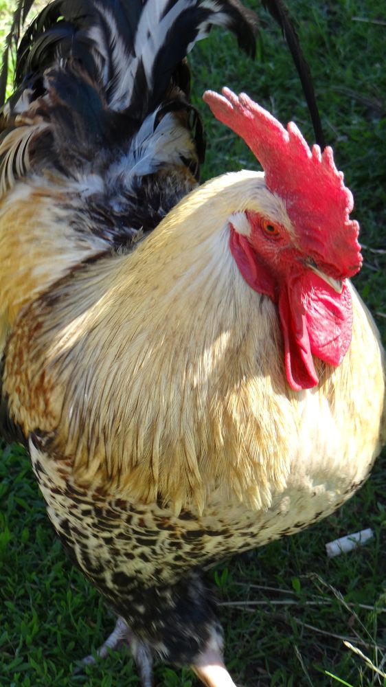 Photograph by olga Diakova