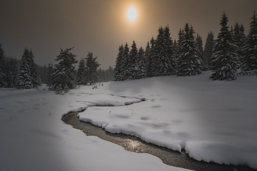 Winter stream