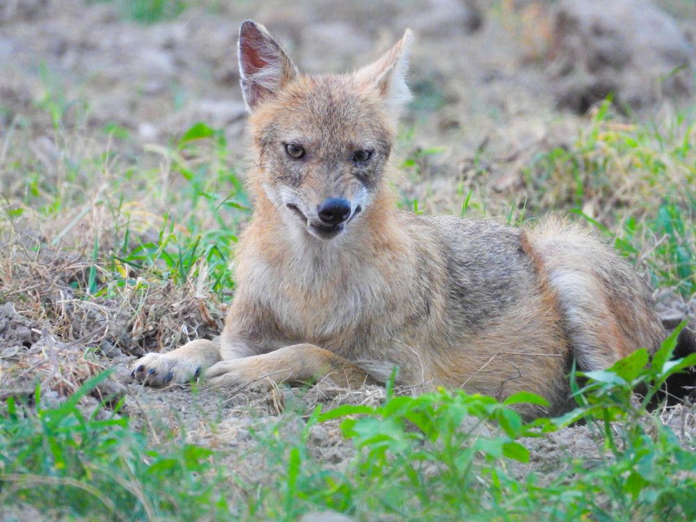 Photograph by Al Mamun Abdullah