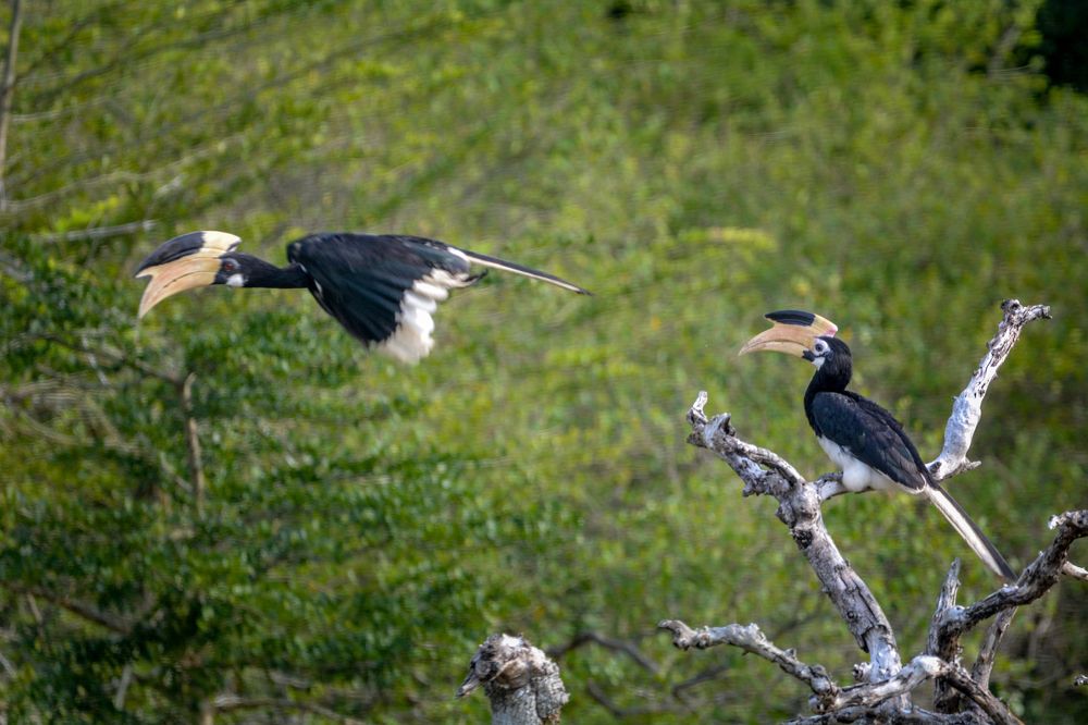 Photograph by Pakalon Janakan