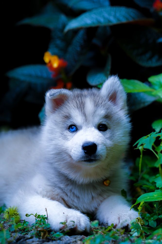 Photograph by Nath Sai